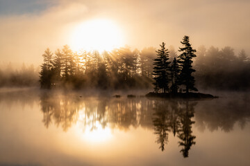 Island and forest on a misty lake in morning sunshine