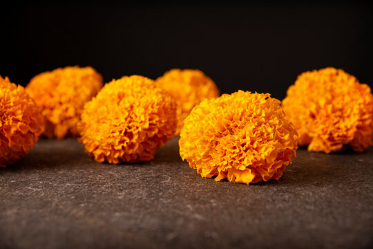 Cempasuchil orange flowers or Marigold. (Tagetes erecta) Traditionally used in altars for the celebration of the day of the dead in Mexico