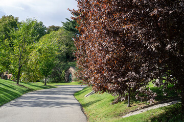 Autumn season with colorful tree leaves. Peaceful and quiet cemetery in Greenwood Cemetery, Brooklyn