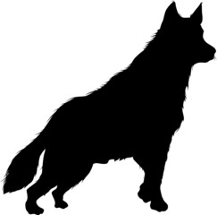 Vector silhouette of a husky dog standing