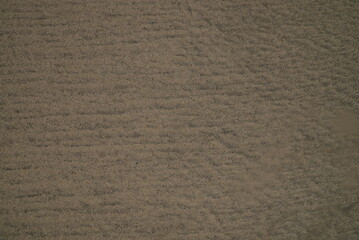 紙, 質感, 茶色, ボール紙, 模様, ざらざらの, 古い, 空白, ざらざらした, 原料, 表面, グランジ, ビンテージ, 砂, カートン, ベージュ, 壁紙, 背景, 波形の, シーツ, デザイン, アンティーク, 老いた, 壁