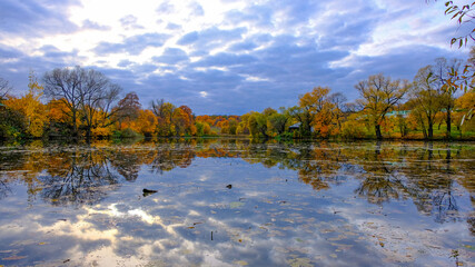 Obraz premium autumn landscape with lake and trees
