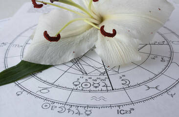Printed astrology chart with a white lily in the background