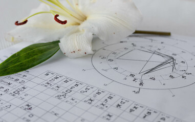 Printed astrology chart with a white lily in the background