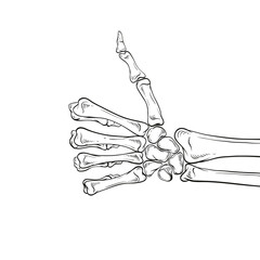 Obraz na płótnie Canvas Skeleton shows like sign gesture thumb isolated, vector illustration