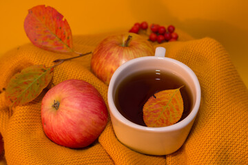 autumn tea with apples on yellow sweater