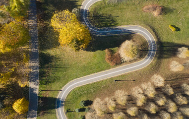 Bicycle path in the park. Ecosystem and healthy environment concepts and background.