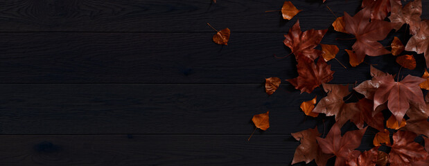 Fall flat lay with leaves. Thanksgiving concept with space for text.