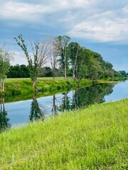 Fototapeta premium lake in the forest