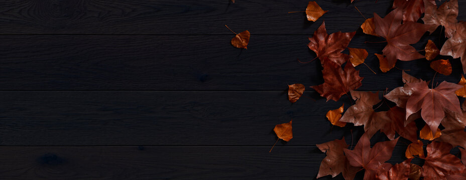 Fall flat lay with leaves. Thanksgiving concept with space for text.