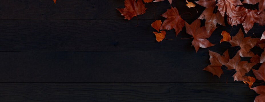 Top down view of Dark wood Surface with leaves.