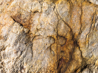 San Antonio Creek Unidentified Rock White Gray and Orange CU