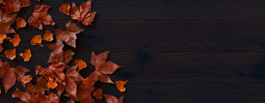 Thanksgiving Background.