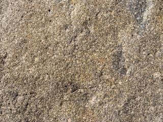 San Antonio CreekBlack Gray White Tan Medium-grain Igneous Rock
