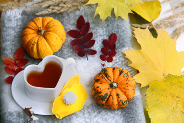 autumn still life with pumpkin, heart-shaped mug with tea, warm blanket, sweets. pumpkin and leaves. autumn leaves and fruits