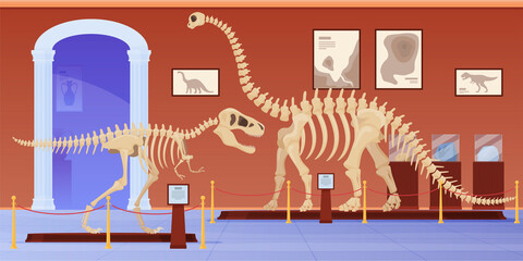 Empty museum of paleontology with dinosaurs skeletons vector flat cartoon illustration - obrazy, fototapety, plakaty