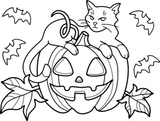 Halloween and cat.	