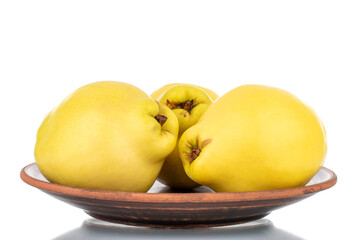 Three ripe bright yellow quince with ceramic dishes, close-up, isolated on white.