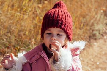 A child in nature studies the environment. Holds an acorn or a nut in his hands. Outdoor...