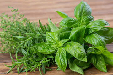 Bunches of fresh italian herbs