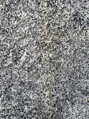 San Antonio Creek White and Black Coarse-Grain Igneous Rock with Gold Flecks