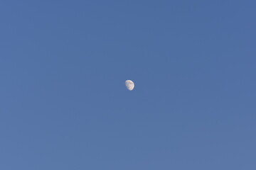 the moon