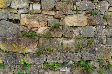 old bricks of the fortress with growing plants