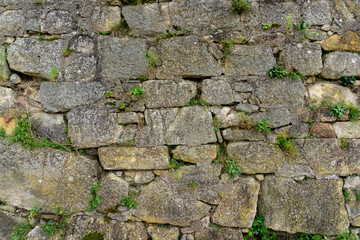 old bricks of the fortress with growing plants