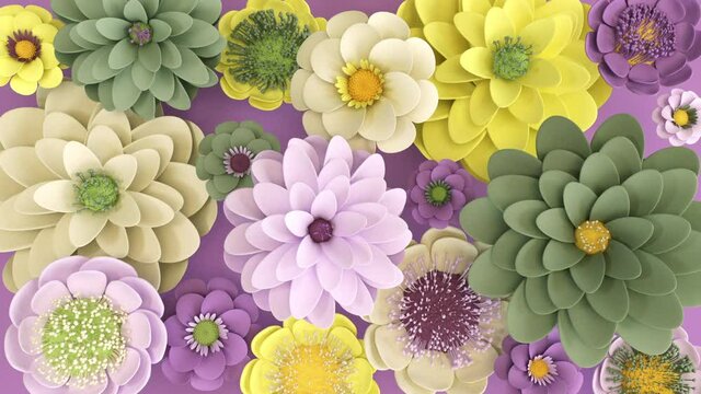 Animated floral background. Blossom of violet, yellow and green flowers. Greeting card for holiday, wedding, birthday, Mother's Day, international women's day. 3d render