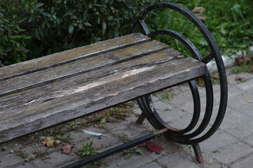 bench in the park
