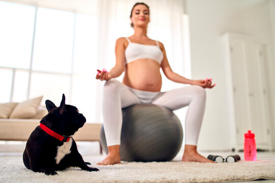 Young pregnant woman in sportswear is doing yoga exercises while sitting on a fitness ball with her dog. Nearby are dumbbells and a bottle of water. Sports and a healthy lifestyle during pregnancy.