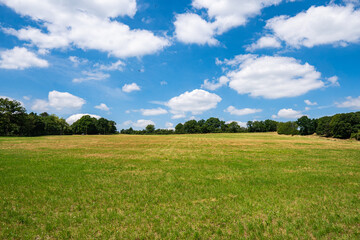 Green grass field and cloudy but blue sky near steinbachtalsperre