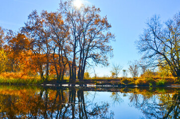 autumn trees and yellow grass are reflected in the water sunlight shines through the trees...
