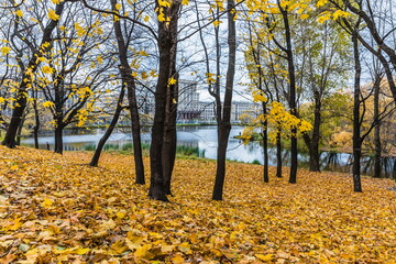 Lefortovsky Park, one of the oldest parks in Moscow, Russia