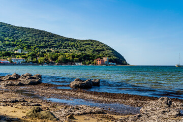 The beach of the Gulf of Baratti with heaps of dried sea grass of Posidonia oceanica, in the...