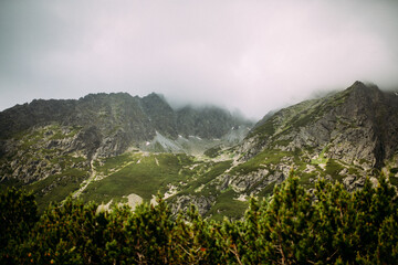 landscape in the mountains