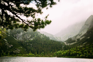 landscape in the mountains