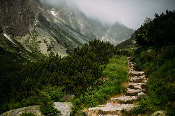 landscape in the mountains