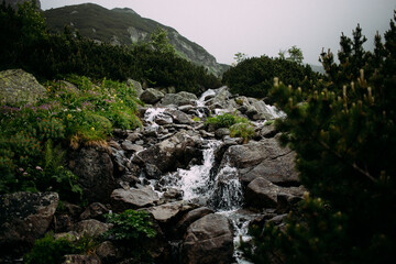 waterfall in the forest