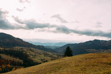 Naklejka na ściany i meble autumn in the mountains