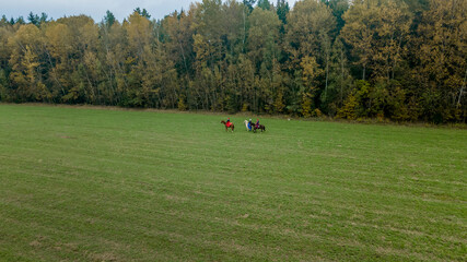 Aerial view of group of fox hunters on the horses in the autumn field. Equestrian riding sport in a...