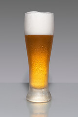 Cold beer isolated over grey background. Studio shot.  