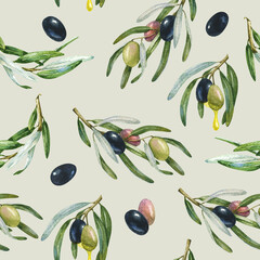 olives on a branch with a seamless pattern. background, beautiful color watercolor drawing of olive tree fruits with leaves. olive oil