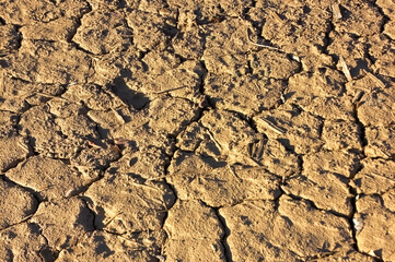 Dried cracked soil close-up. Nature background of cracked drylands.