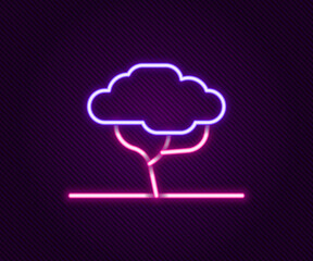 Glowing neon line African tree icon isolated on black background. Baobab, acacia and other. Colorful outline concept. Vector