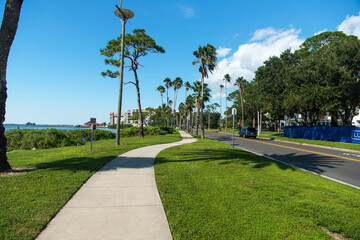 Obraz premium walking path with palm trees along the ocean