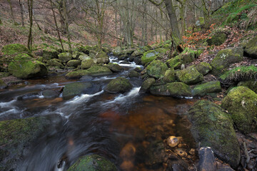 Water cascading over mossy rocks down Padley Gorge, Peak District National Park, Derbyshire