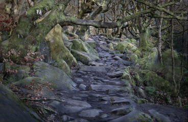 Fairytale path near Padley gorge, Peak District National Park, Derbyshire