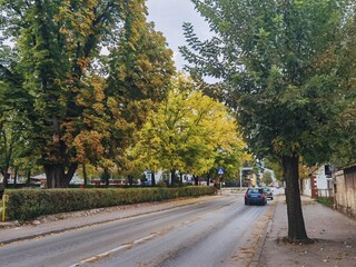 street in autumn