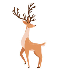 nice reindeer illustration